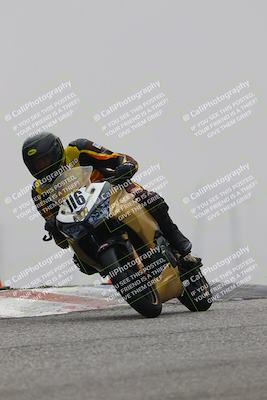 media/Nov-30-2025-TrackDaz (Sun) [[d8b22663df]]/B Group/Session 4 (Grapevine)/